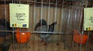 DSC02393