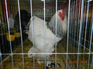 DSCN1187