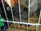 DSCN1188