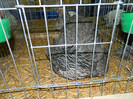 DSCN1189