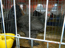 DSCN1228