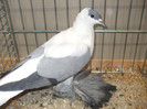 DSCF1935