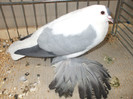 DSCF1940