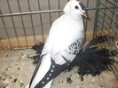 DSCF1948