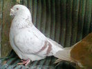 Photo0348