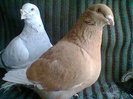 Photo0349