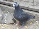 P5240526