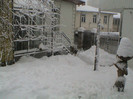DSC00354