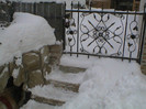 DSC00357