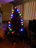 DSCN5668