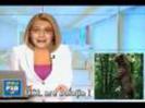 Cronica Carcotasilor