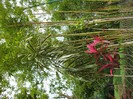 DSCF3727