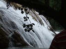 DSCF3980