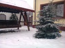 A VENIT IARNA