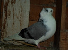 SAM_0458