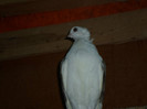 SAM_0460