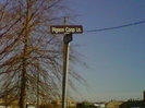 Fort Monmouth Pigeon Coop Lane