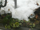 DSCN3673