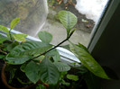 DSCN3674