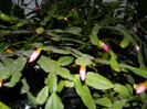 DSCN3680