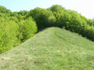 P4294950