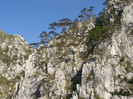 P4305131