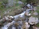 P4305151