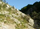 P4305160