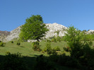 P5015177