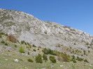 P5015187