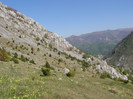 P5015188