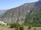 P5015190