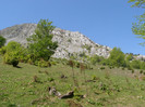 P5015206