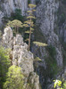 P5015209
