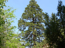 P5015221