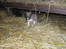 SAM_1636