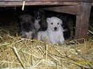 SAM_1659