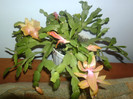 P1020019
