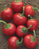 Ardei iute Cherry hot pepper