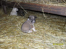 SAM_1661