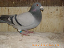 IMG_3149 B 2011.