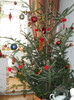 23.12.2012 009
