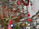 23.12.2012 015