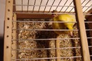 DSC09249