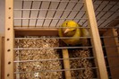 DSC09251