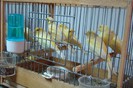 DSC09430