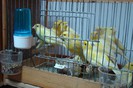 DSC09431
