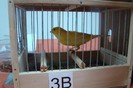 DSC09438