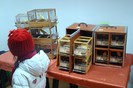 DSC09462