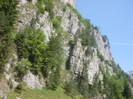 SDC15699